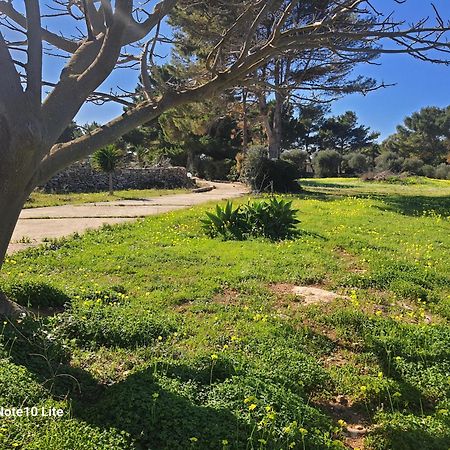 Willa Sogni Nel Blu Favignana Zewnętrze zdjęcie