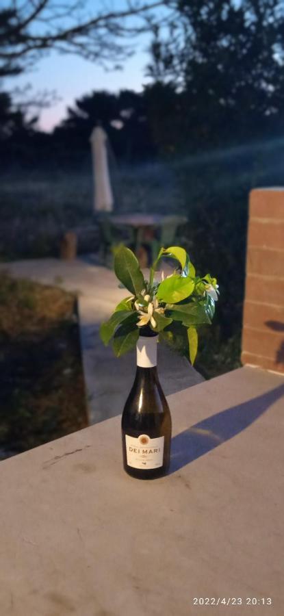 Willa Sogni Nel Blu Favignana Zewnętrze zdjęcie