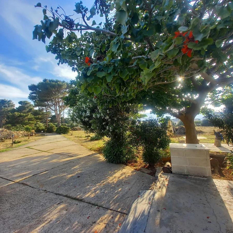 Willa Sogni Nel Blu Favignana Zewnętrze zdjęcie