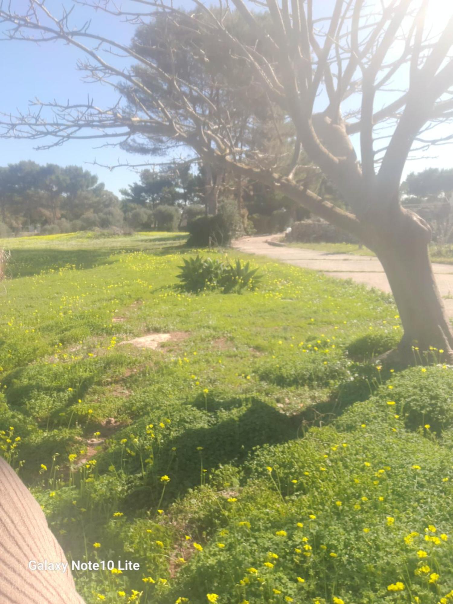 Willa Sogni Nel Blu Favignana Zewnętrze zdjęcie
