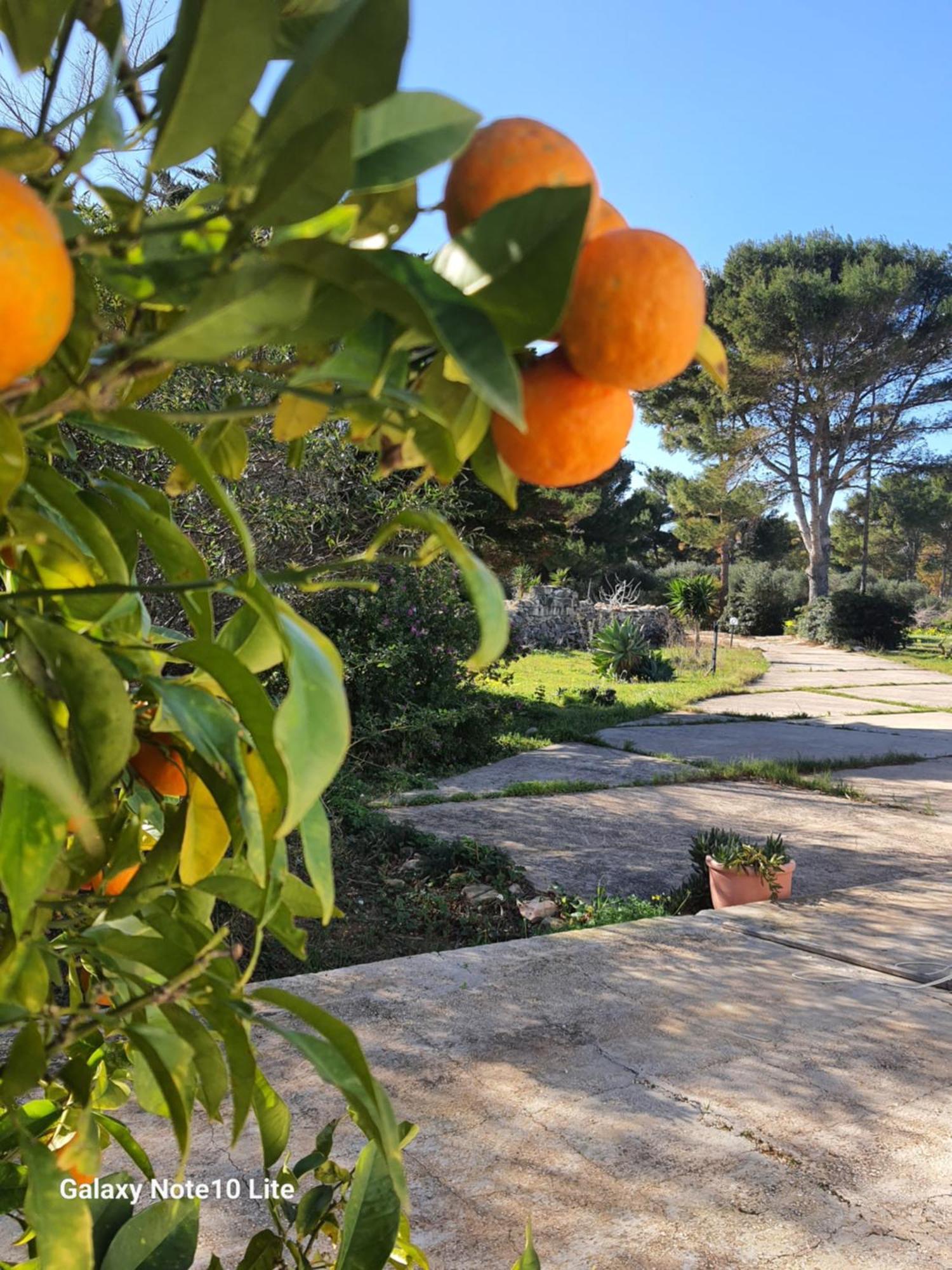 Willa Sogni Nel Blu Favignana Zewnętrze zdjęcie