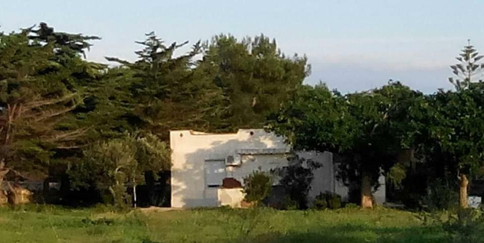 Willa Sogni Nel Blu Favignana Zewnętrze zdjęcie